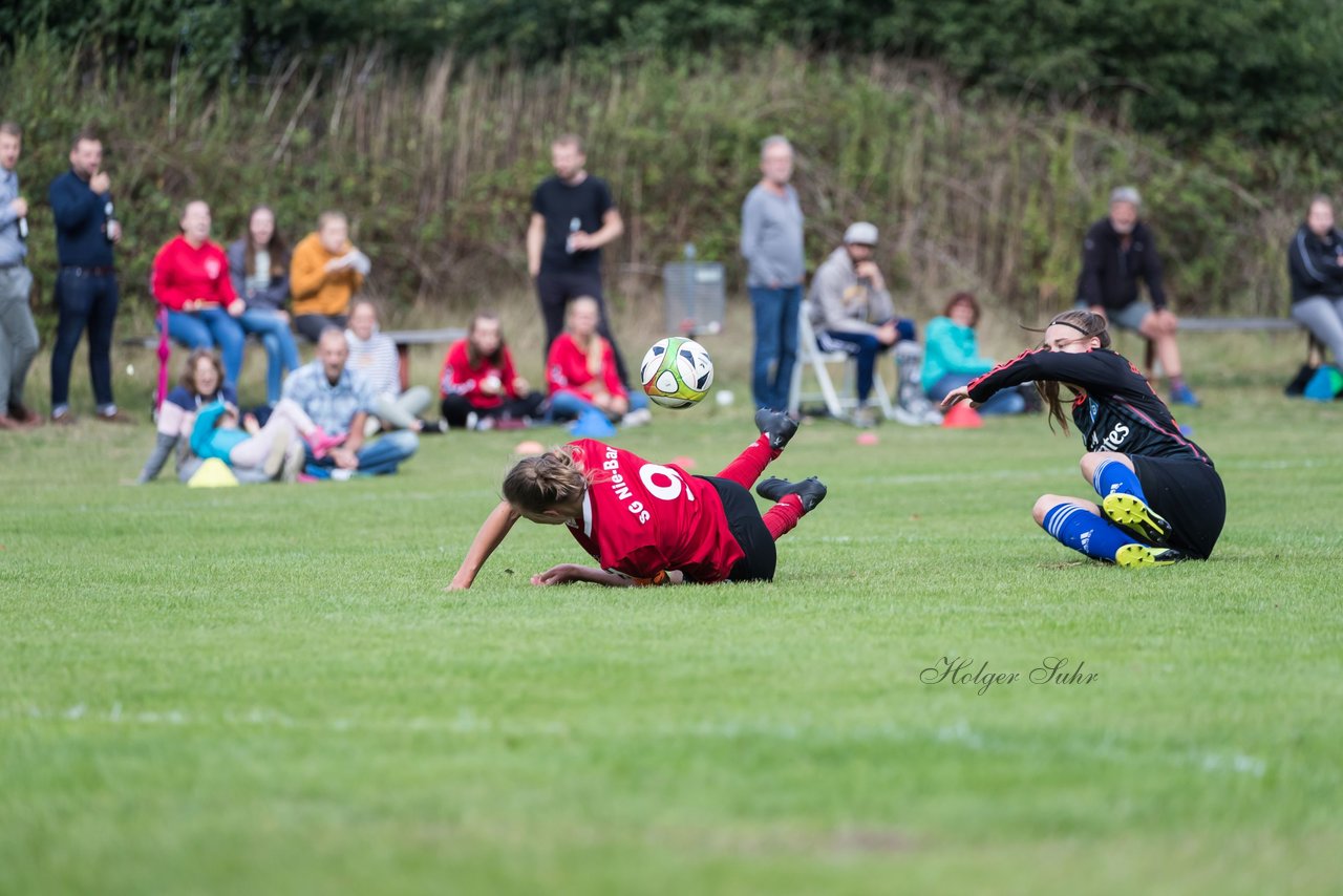 Bild 206 - Frauen SG NieBar - HSV 2 : Ergebnis: 4:3